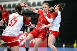 雷速体育下载-包含波兰队客场战胜奥地利队，领跑小组！的词条