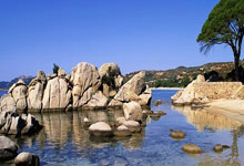 雷速体育下载-中国羽毛球队完胜丹麦羽毛球队,斯里坎特爆发神勇