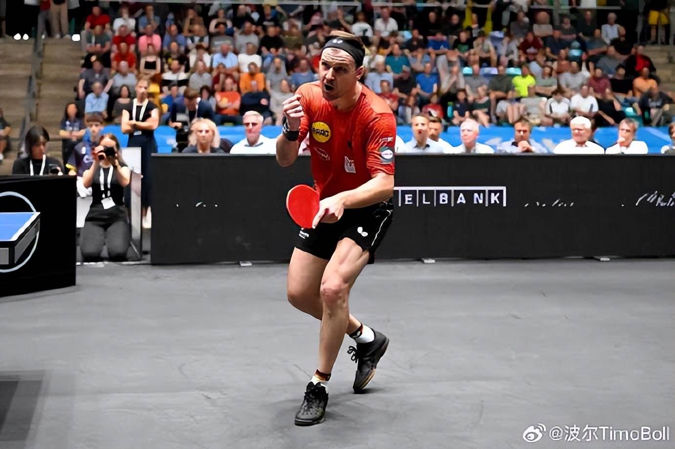 包含中国乒乓球队逆转日本乒乓球队，波尔惊艳世界的词条