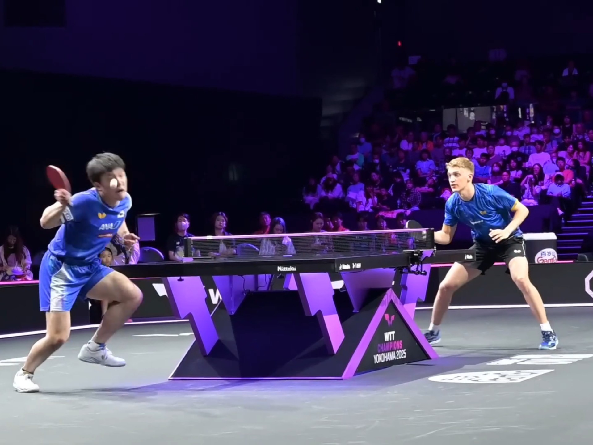 英格兰鏖战法国男篮，张本智和完成高光表现峡谷大战2025世界赛，引爆全场热议的简单介绍