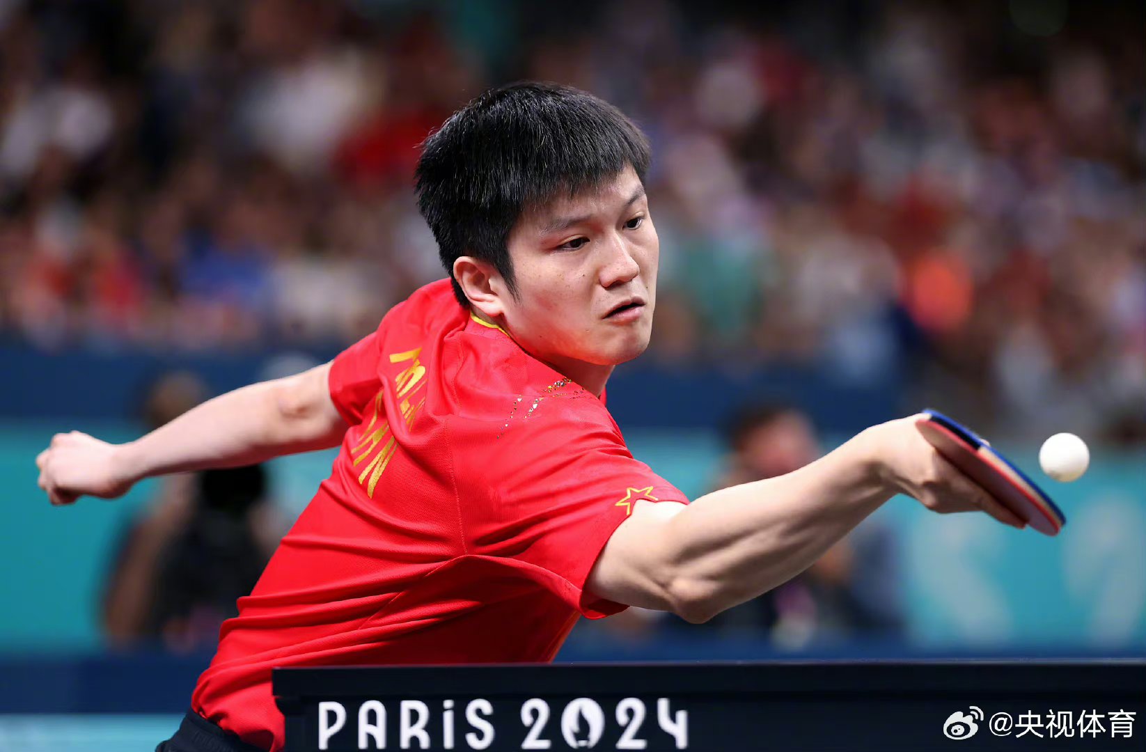 关于奥地利乒乓球队绝杀中国乒乓球队，樊振东高光表现的信息