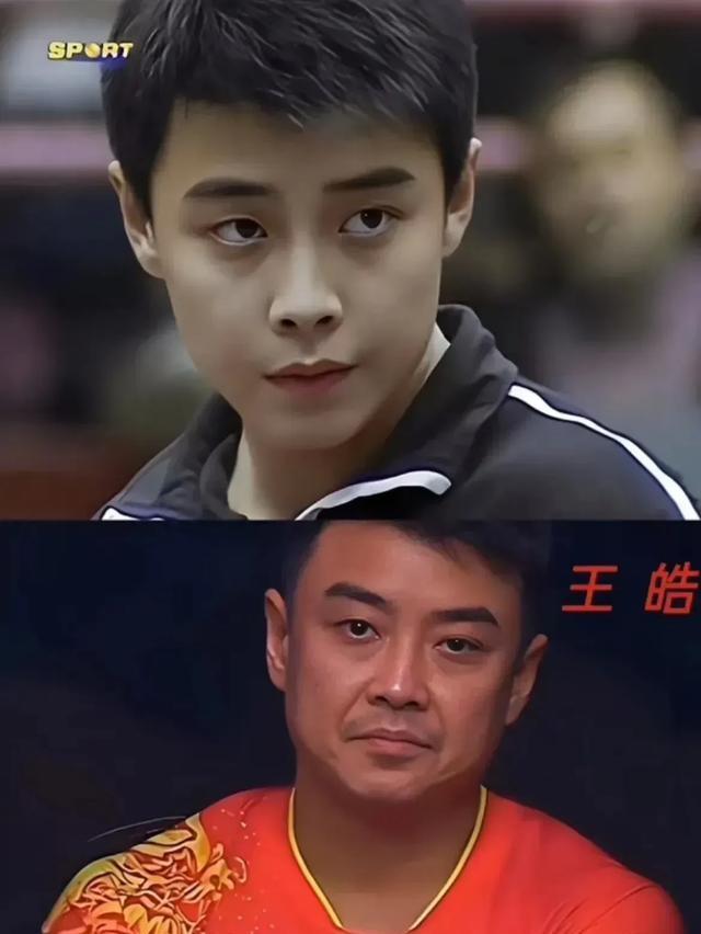 包含波兰乒乓球队翻盘中国乒乓球队，王皓高光表现的词条