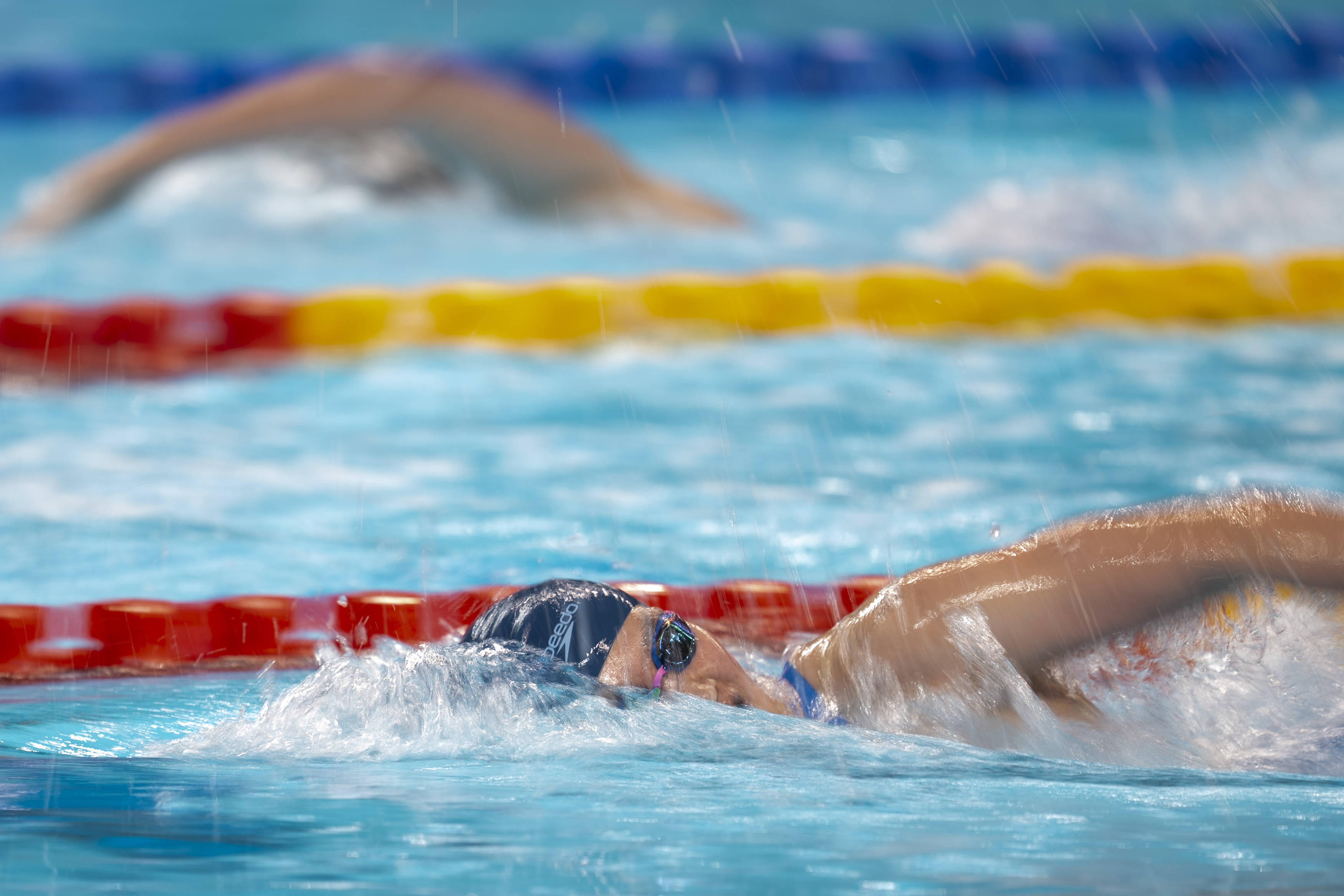 关于场面火爆！游泳观众席沸腾不已的信息